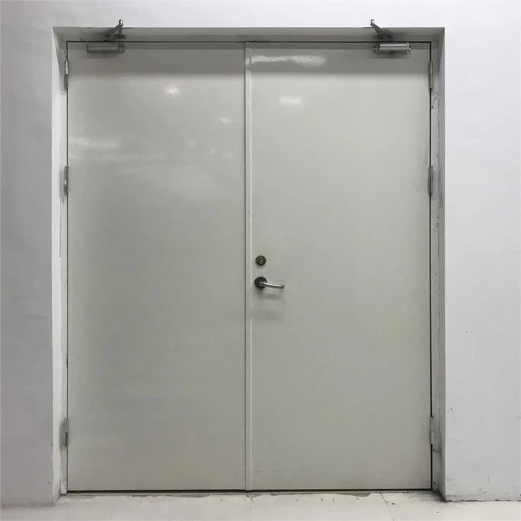 Commercial Interior Fire Rated Steel Door